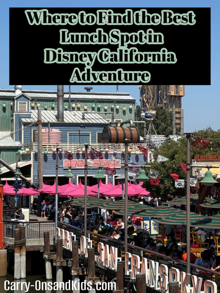 photo looking down at Aunt Cass' cafe in San Fransokyo in DCA.