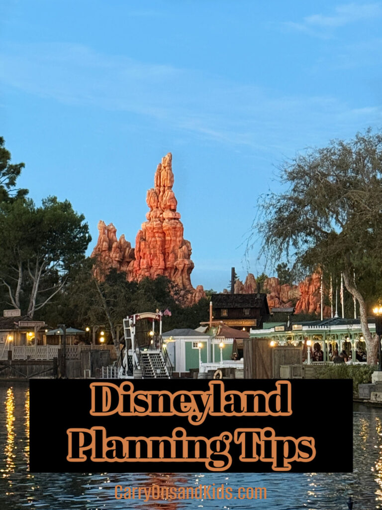 Photo toward Frontierland over the water with article title text overlay.