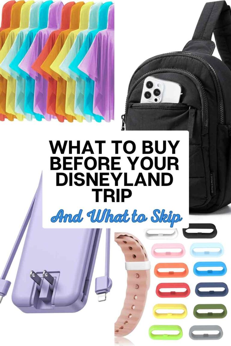 A photo collage of items to buy before a Disney trip with the post title over it.